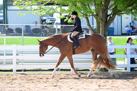 AJB_4093