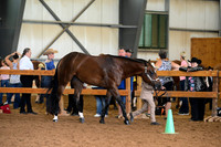 AJB_0743