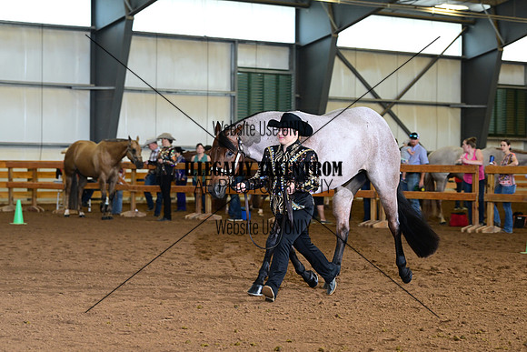 AJB_0273
