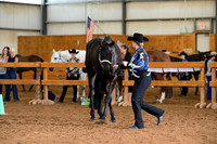 AJB_0464