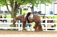 AJB_1641
