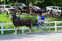 AJB_0818