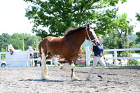 AJB_0142