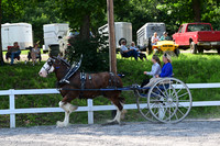 AJB_0819