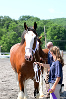 AJB_0146
