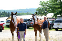 AJB_0152