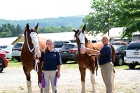 AJB_0153