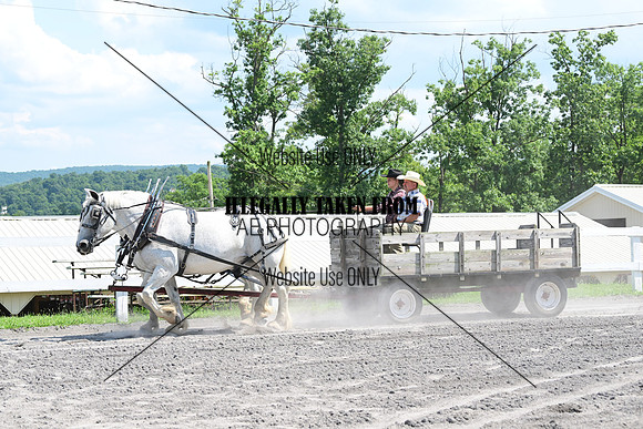 AJB_0721