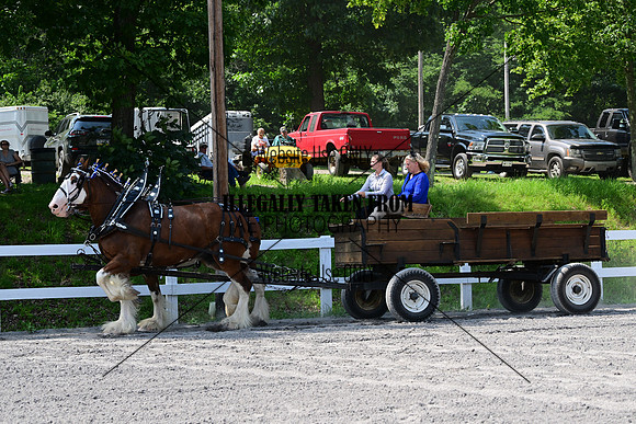 AJB_0724