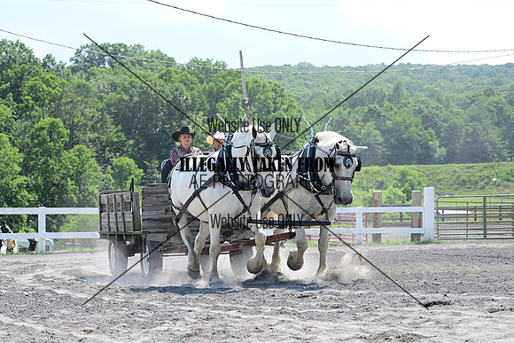 AJB_0727