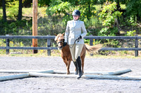 AJB_0951