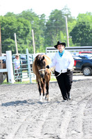 AJB_0953