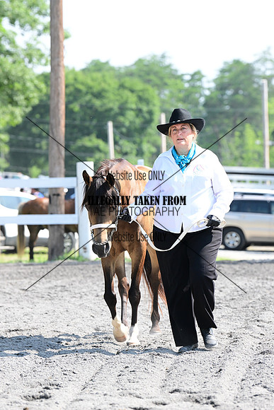 AJB_0954
