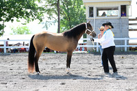 AJB_0956
