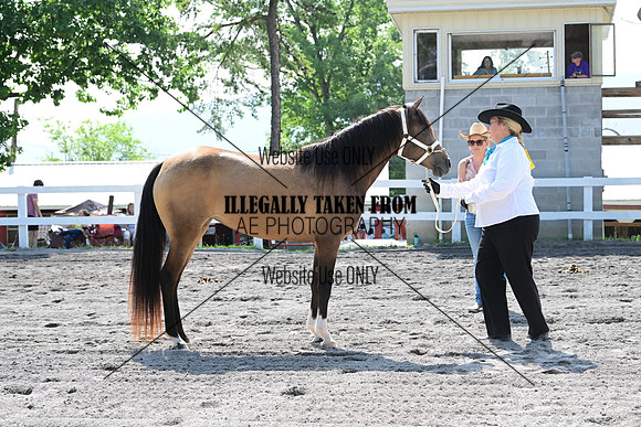 AJB_0956