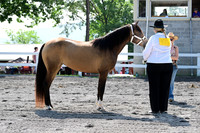 AJB_0957