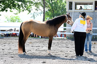 AJB_0958