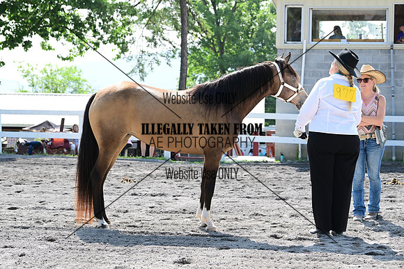 AJB_0958