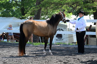 AJB_0921