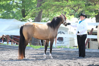AJB_0922