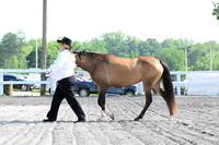 AJB_0924