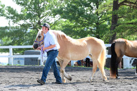 AJB_0926