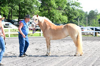 AJB_0931