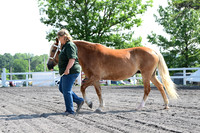 AJB_0934