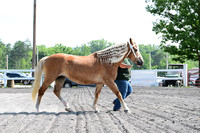 AJB_0935