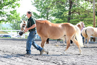 AJB_0936