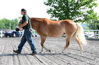 AJB_0937