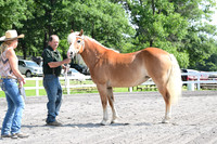 AJB_0938