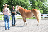 AJB_0939