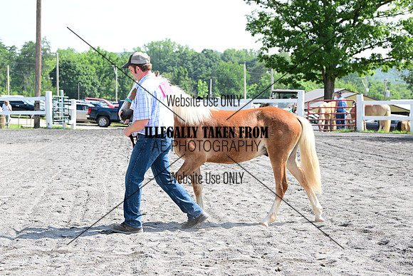 AJB_0977