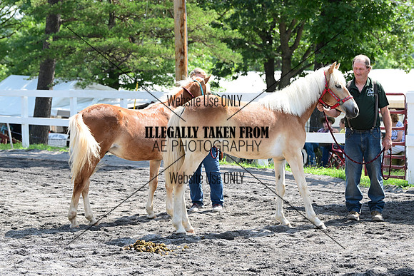 AJB_0980
