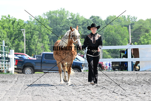 AJB_0983