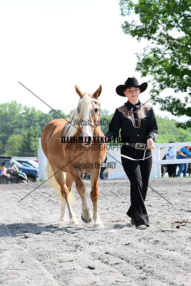 AJB_0984