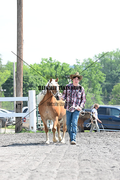 AJB_0986