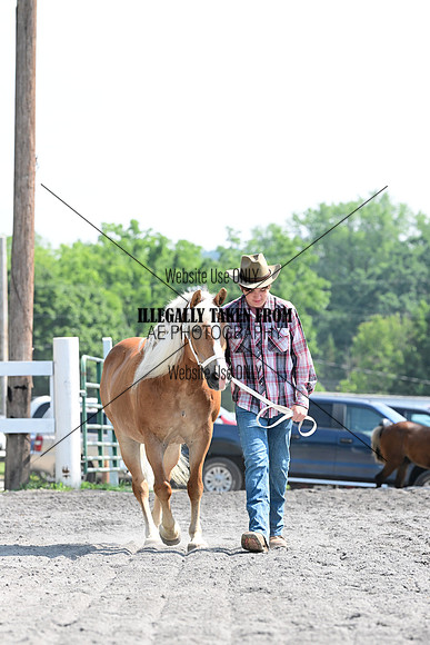 AJB_0987