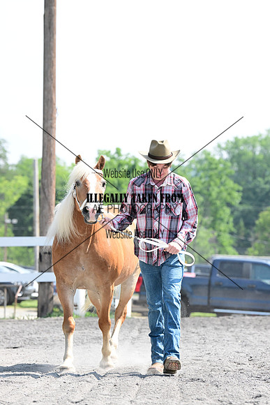 AJB_0988
