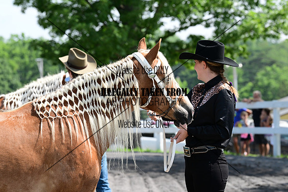 AJB_0995