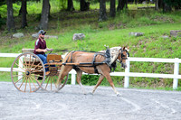 AJB_1362