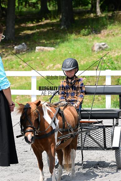 AJB_1219