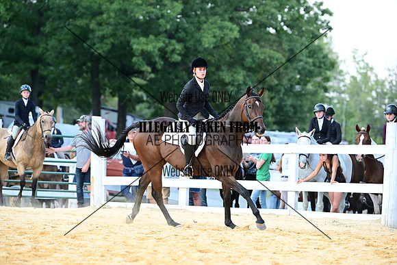 AJB_1794