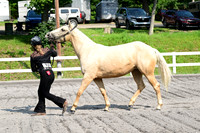 AJB_1565