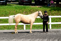 AJB_1567