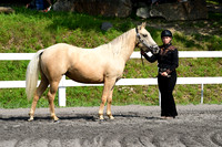 AJB_1568