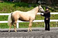 AJB_1569