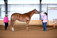 ASH_7482