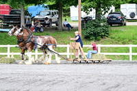AJB_2954